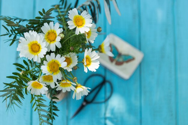 Top view of daisies with blurred background