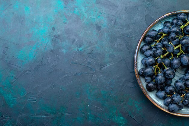 Free photo top view dark grapes inside tray on dark