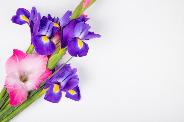 Top view of dark purple and pink color iris and gladiolus flowers isolated on white background with copy space