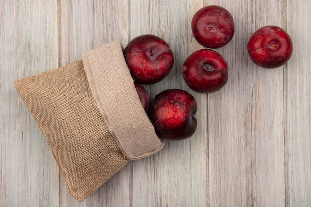 Top view of dark red and sweet pluots falling out of burlap bag on a grey wooden wall