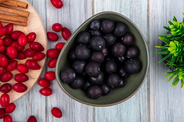 Top view of dark skinned blackthorn on a bowl with red cornel berries on a wooden kitchen board with cinnamon sticks on a grey wooden background