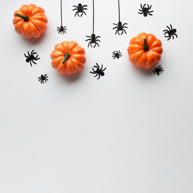 Top view decoration pumpkins and spiders