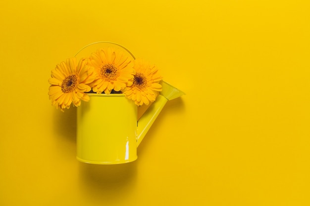 Top view of decorative watering can with flowers