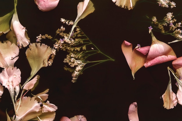 Top view delicate pink flowers in black water