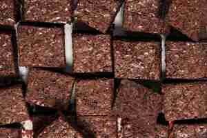 Foto gratuita disposizione di deliziosi brownies vista dall'alto