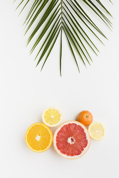 Top view of delicious fruits and leaf