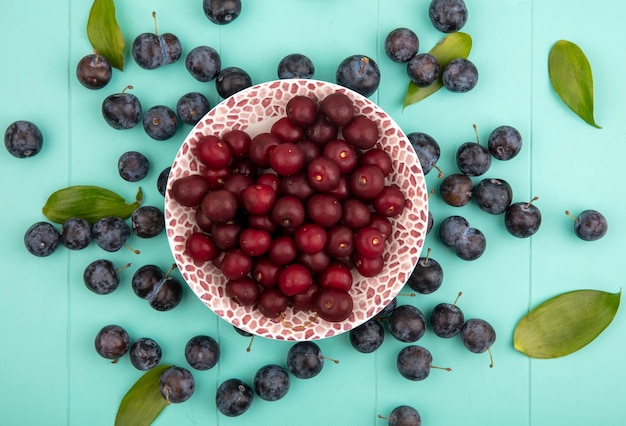 Вид сверху вкусной красной вишни на миске с терном с листьями, изолированными на синем фоне