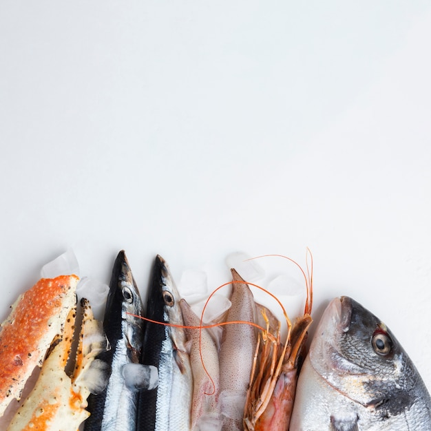 Вид сверху вкусные морепродукты на столе