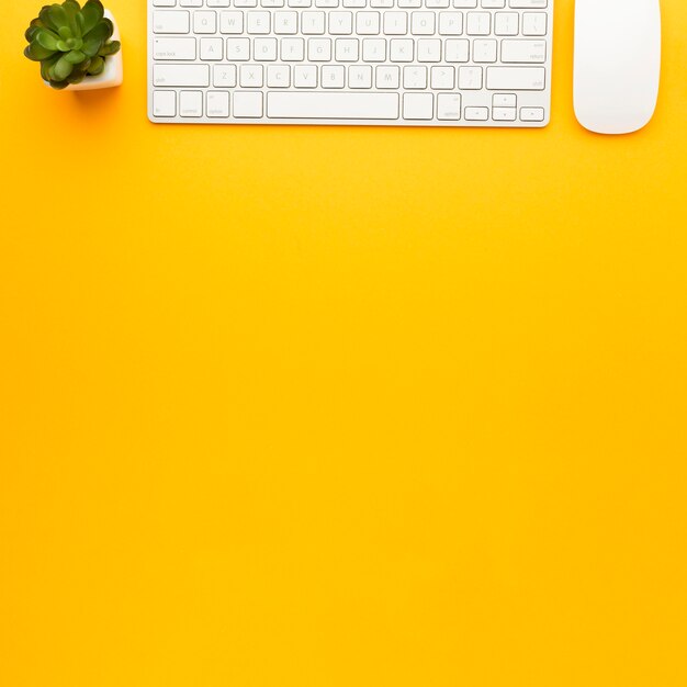 Top view desk concept with keyboard