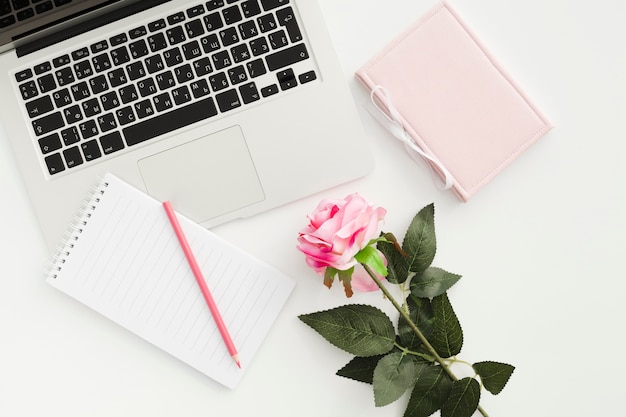 Top view desk concept with a rose