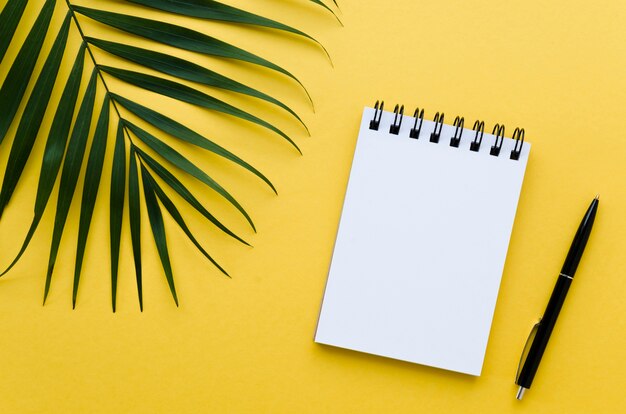 Top view of desktop with notebook and plant