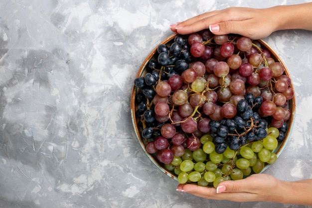 Free photo top view different grapes juicy mellow sour fruits on the light-white desk