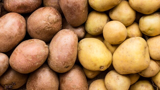 Вид сверху разных видов картофеля