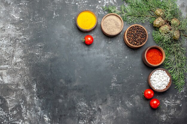 Top view different seasonings with tomatoes on grey background