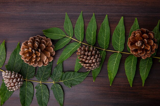 Top view of dry and decorative pine cones with leaves on wood