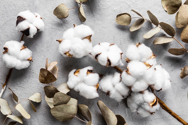 Top view dry leaves with cotton