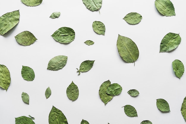 Top view of dry leaves