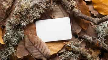 Free photo top view dry leaves