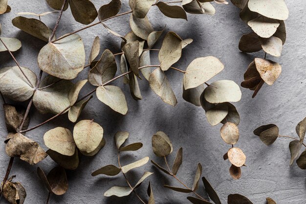 Top view dry leaves