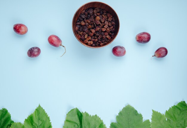 Top view of dry raisins in a bowl with sweet grapes on blue table with copy space