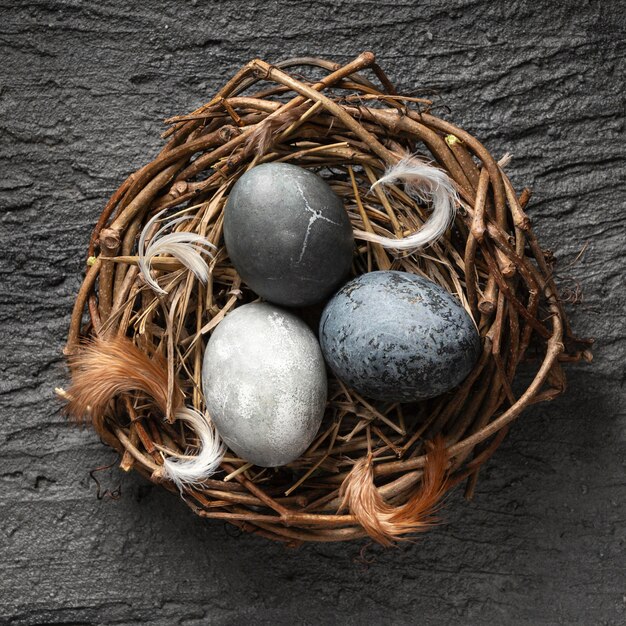Top view of easter eggs in bird nest made of twigs with feathers
