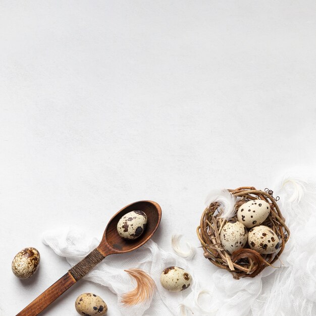 Top view of easter eggs in bird nest with feathers and copy space