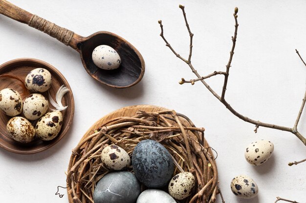 Top view of easter eggs in bird nest with twig and wooden spoon