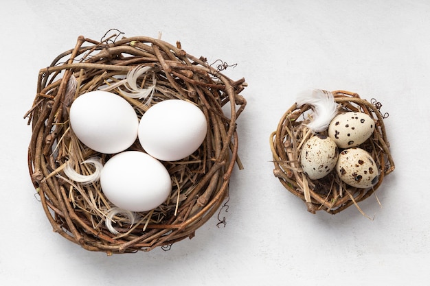 Top view of easter eggs in bird nests and feathers