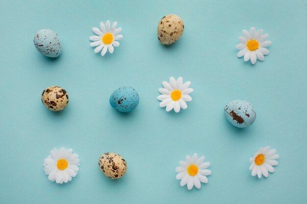 Top view of easter eggs with chamomile flowers