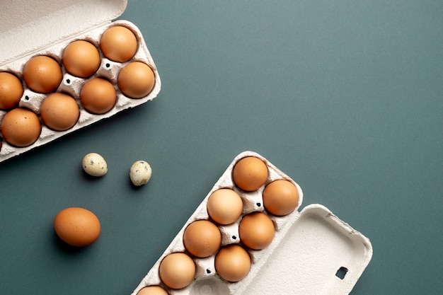 Top view egg cartons arrangement