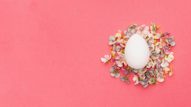 Top view egg on top of flowers petals