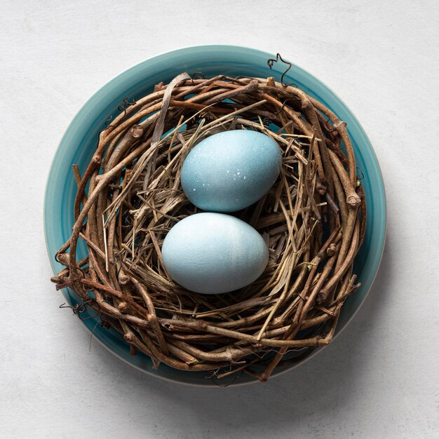 Top view of eggs for easter in bird nest on plate