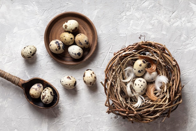 Вид сверху яиц на пасху с деревянной ложкой и птичьим гнездом