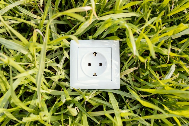 Top view of electric socket on green grass