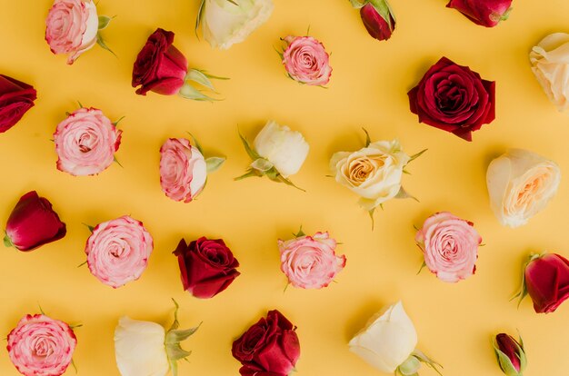 Top view of elegant roses