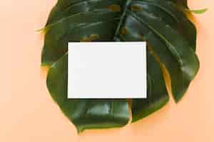 Free photo top view empty business card on leaf