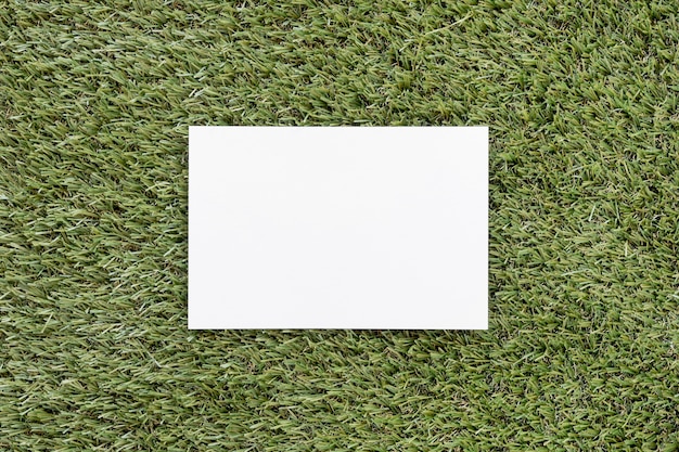 푸른 잔디에 상위 뷰 빈 카드