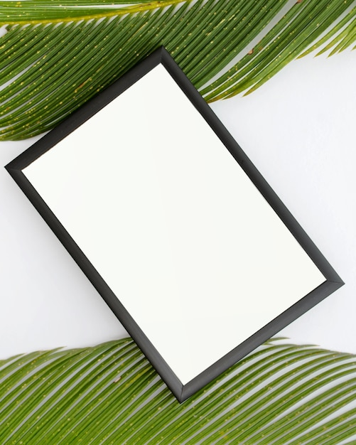 Free photo top view of empty frame and palm leaves on white surface