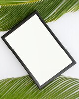 Top view of empty frame and palm leaves on white surface