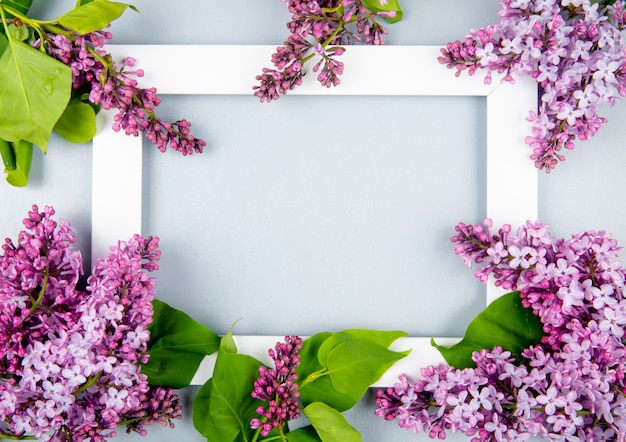 Top view of an empty picture frame with lilac flowers on white background with copy space