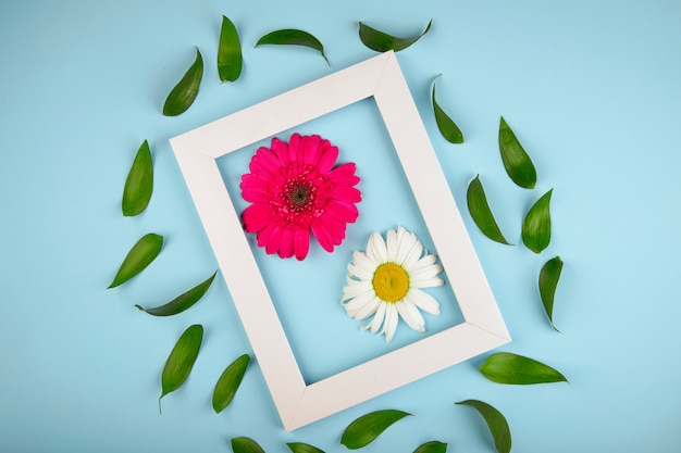 Free photo top view of an empty picture frame with pink color gerbera flower with daisy and ruscus leaves on blue background