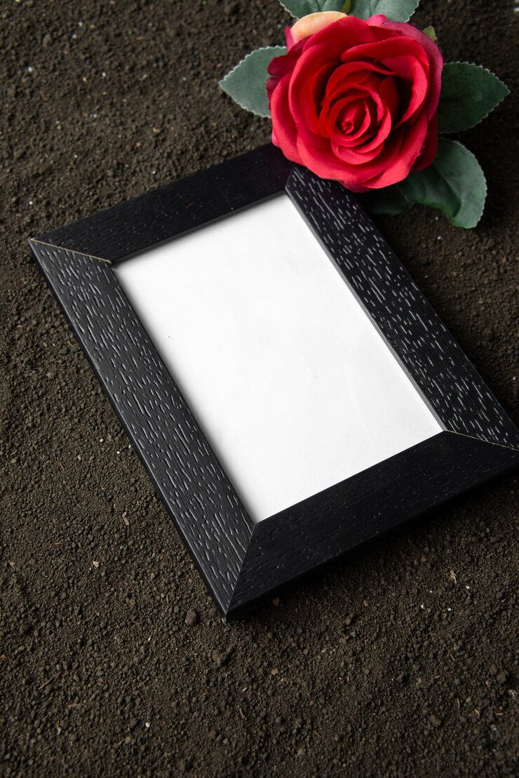 Free Photo top view of empty picture frame with red flower on dark soil