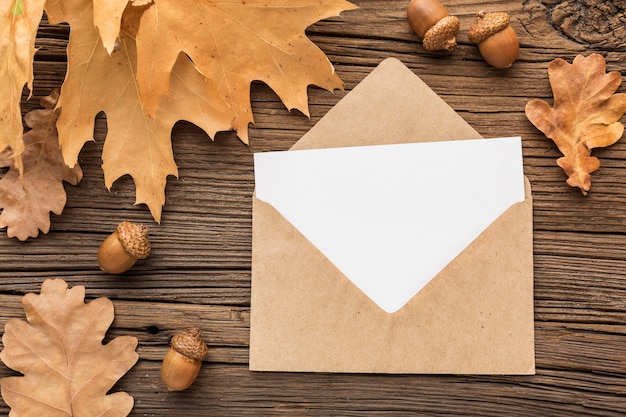 Free photo top view of envelope with autumn leaves
