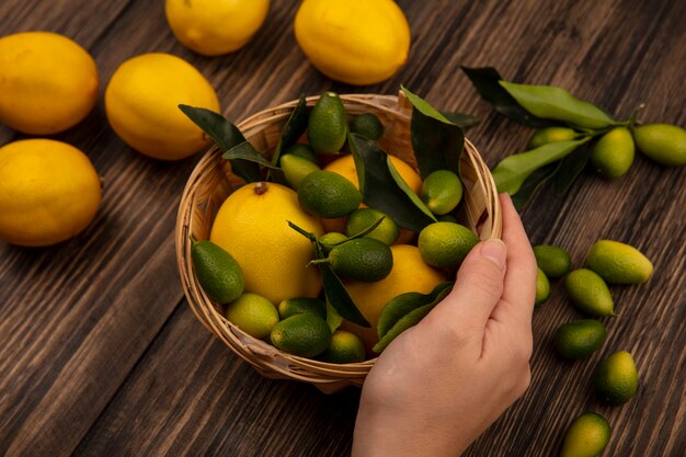 木製の壁に隔離されたレモンとキンカンなどの新鮮な果物のバケツを持っている女性の手の上面図