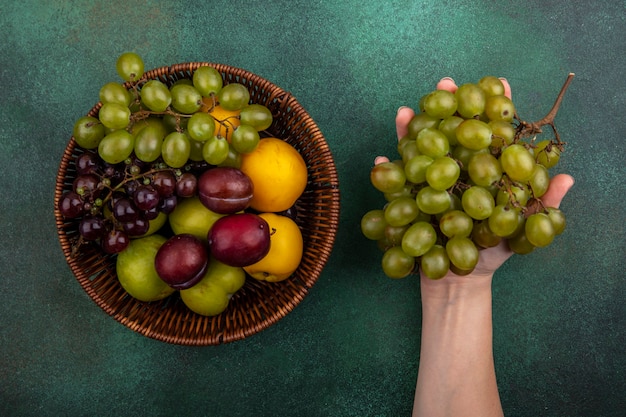 Top view of female hand holding bunch of grape with basket of grapes pluots nectacots on green background