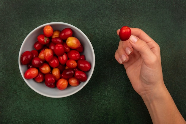 Top view of female hand holding a cornelian cherry with a bowl of cornelian cherries on a green surface