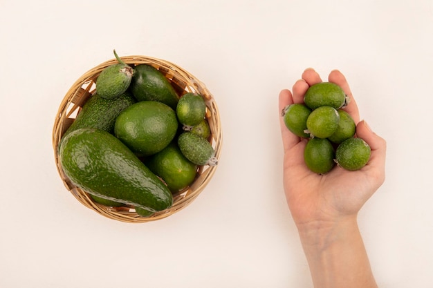 Top view of female hand holding green feijoas with feijoas and avocado on a bucket on a white surface