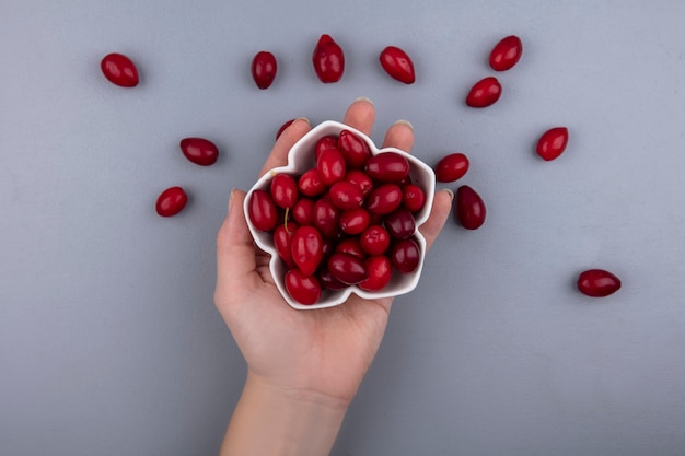 Top view of female hand holding a white bowl with fresh red cornel berries on a grey background