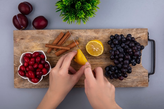 Top view of female hands cutting lemon with knife  cornel berries and grape  cinnamon on cutting board and pluots  plant on gray background