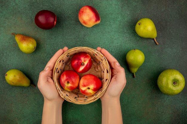 Free photo top view of female hands holding basket of peaches with apples and pears on green background